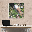Search for barn owls canvas prints Wildlife