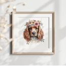 Search for irish setter posters Pet