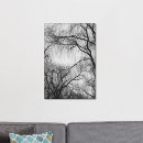 Search for willow tree canvas prints Black and white