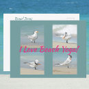 Search for funny seagull postcards Seagulls