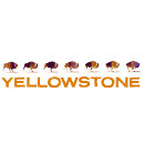 Search for wilderness womens tshirts Fun