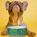 Search for cool bandanas Neon