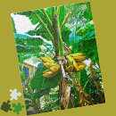 Search for bananas puzzles Banana tree