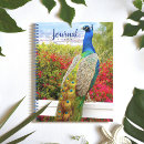 Search for write photography Bird
