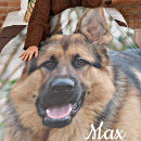 Search for rainbow bridge blankets Dog