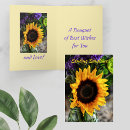 Search for bouquet photography Beautiful