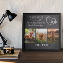 Search for pet memorials Dog