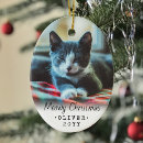 Search for cat christmas decor Funny