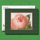 Search for rose return postcards Vintage