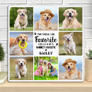 Search for hello pet supplies Sympathy