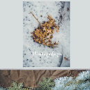 Search for vintage botanical posters Minimalist