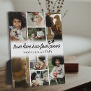 Search for dog paws photography Pets
