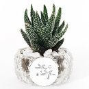 Search for beach starfish stickers Destination