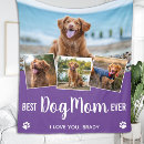 Search for purple dog blankets Cute