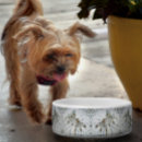 Search for princess pet bowls Girly