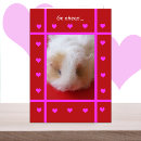 Search for pig valentines day cards Cavy