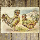 Search for poultry gift wrap Watercolor