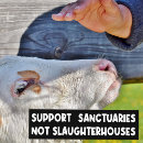 Search for supporting bumper stickers Awareness