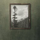 Search for black and white mountain posters Forest