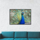 Search for fantail posters Animal