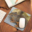 Search for squirrel picture electronics Animals