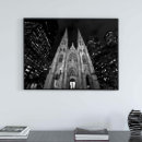 Search for st patricks cathedral posters Black and white