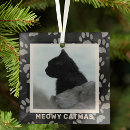 Search for cat in frame christmas tree decorations Pets