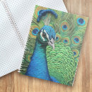 Search for peacock feathers notebooks Bird