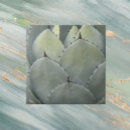 Search for southwestern tiles Cactus