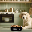Search for cool pet supplies Elegant