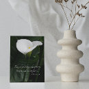 Search for white calla lily cards Floral