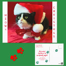 Search for black and white cat christmas cards Humour