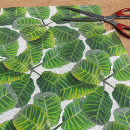 Search for leaf plant tissue paper Tropical