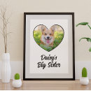 Search for big sister dog Kids