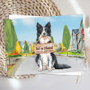 Search for border collie invitations New address