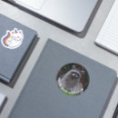 Search for save our stickers Ecology