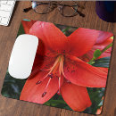 Search for asiatic lilies electronics Botanical