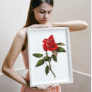 Search for stems posters Botanical