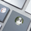 Search for raptor bird stickers Birds of prey