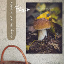Search for edible mushroom posters Mycology