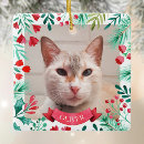 Search for cat lover christmas tree decorations Dog