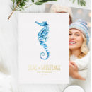 Search for seahorse christmas cards Blue