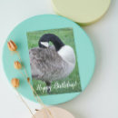 Search for goose birthday cards Bird