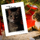 Search for cat pun christmas cards Elegant