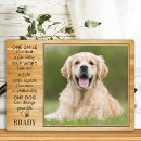 Search for quotes pet memorials Photo collage