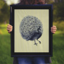 Search for vintage peacock posters Peafowl