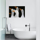 Search for bill photography Animal