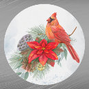 Search for poinsettia flower stickers Pine