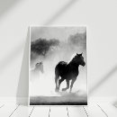 Search for white horse running posters Horses