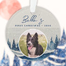 Search for border collie christmas decor Pet